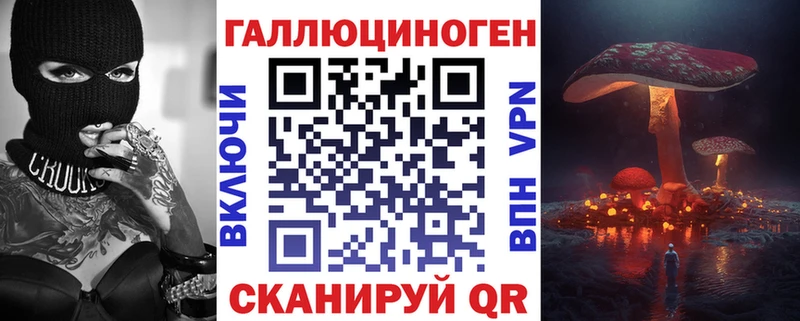 OMG ссылки  Новомосковск  сайты даркнета Telegram  как найти наркотики  Галлюциногенные грибы Cubensis 