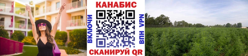 даркнет сайт  Новомосковск  Бошки Шишки Ganja 